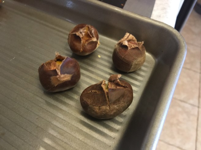 Chestnut skin peeling back